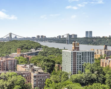 Actual view from a Riverdale co-op