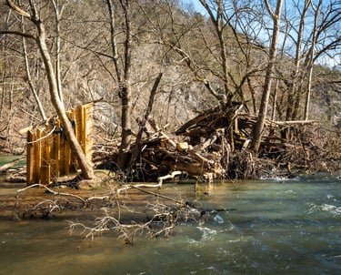 Watauga River Helene aftermath