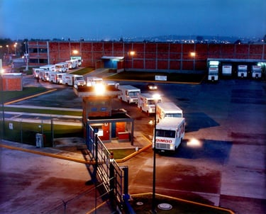 Bimbo, Imagen para estrategia de marca, celebración del 50 Aniversario Bimbo,