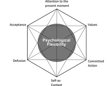 The ACT Hexaflex diagram illustrating the six core processes of psychological flexibility in therapy