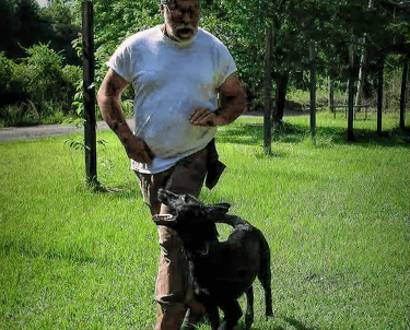 a man standing in the grass with a dog