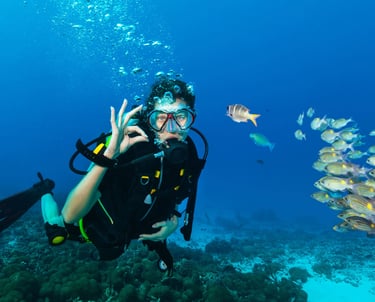 a person in a scuba suit and scuba goggles