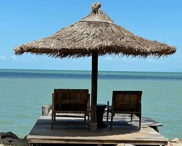 Experience thailands beach bungalows. Paradise, beach, coconut, thailand