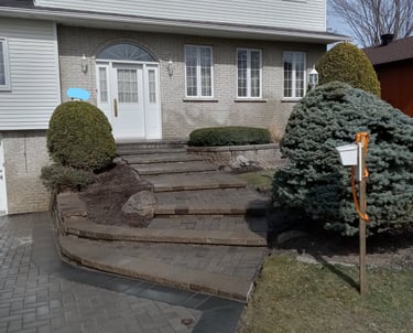 Entrée de maison en pavé uni