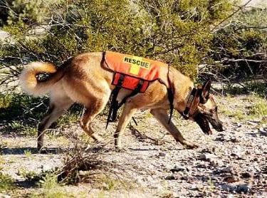 locate missing person in Vietnam