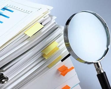 Corporate Fraud Detection