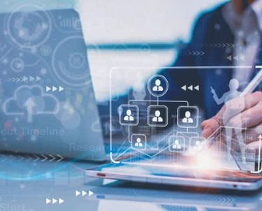 background investigation Vietnam