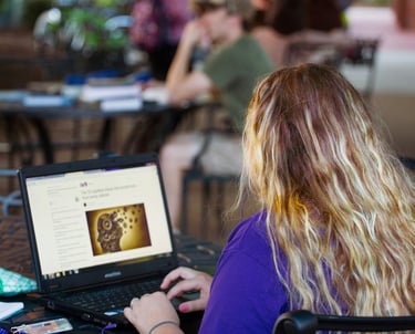 private investigation Vietnam