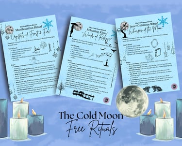 Cold Moon Rituals Soul Sisters Tarot