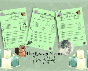 The Beaver Moon Rituals Soul Sisters Tarot