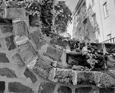 a black and white photo of a stone wall
