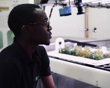 Employé mesurant les plantes à l'aide de capteurs