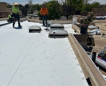 Professional contractors installing silicone coating on a residential home with skylights.