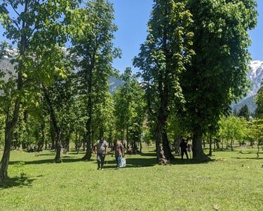 Arang kel