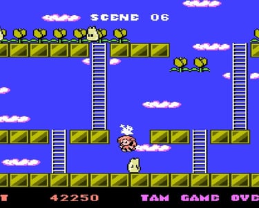 Rod-Land NES 8-bit