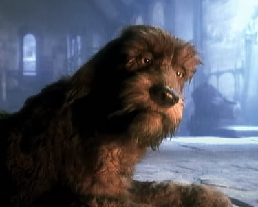 The Storyteller: The Teller's Loyal Mutt