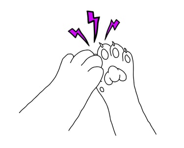 two pat paws high five