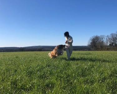 Chien heureux après une promenade avec sa pet sitter à Rennes, garde animaux , petsitter rennes