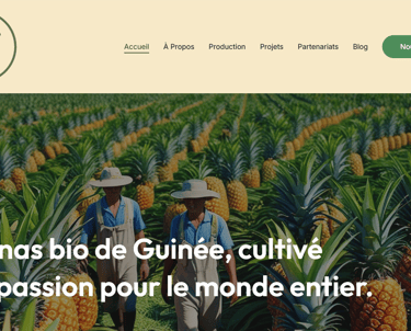 Page d'accueil de l'entreprise agricole NIMBA AGRO BUSINESS.
