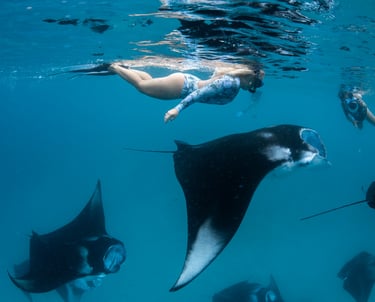 manta discovery snorkel combo ukulhas