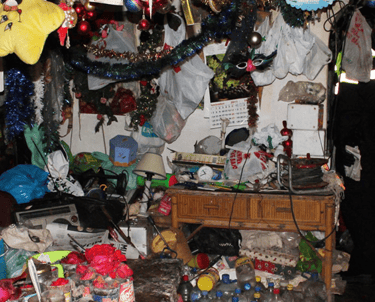 Síndrome de Diógenes