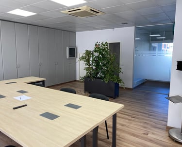 a table with a plant in a room with a plant in the middle