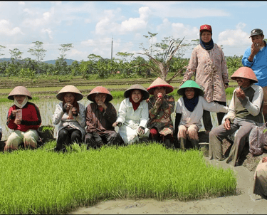 a group of people sitting in a field