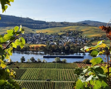 Mosel Riol