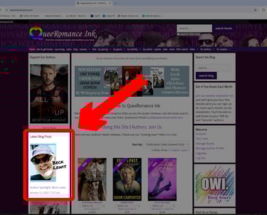 QueeRomanceInk website highlighting Beck Lewis' Author Spotlight article