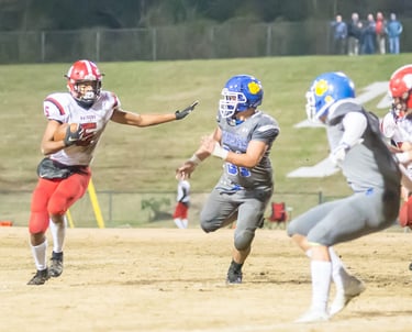 a football player is running with the ball
