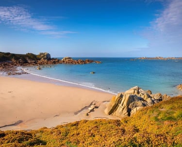 paysage breton - à propos de nous