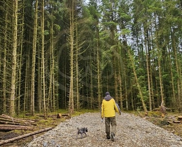 Walking our dog in the woods