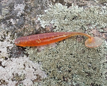 soft plastic lure
