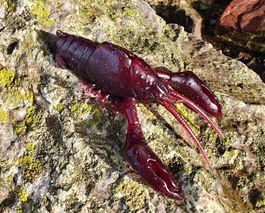 basslures red craw