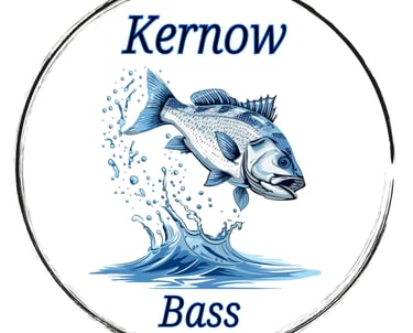 Kernow Bass Image