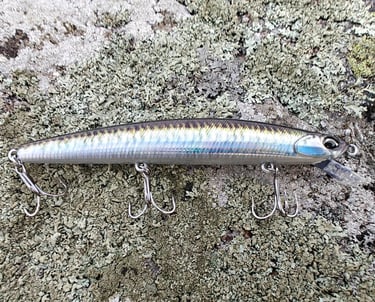 a sinking lure