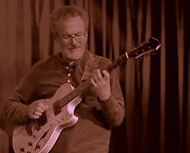 Mike Murray - guitarist playing live