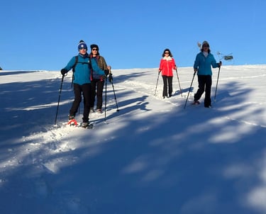 randonneurs en raquettes à neige sommet ciel bleu neige fraiche 