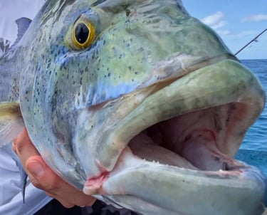 Latham Island Fishing Charters Zanzibar - Happy fisherman showcasing a Bluefin Trevally