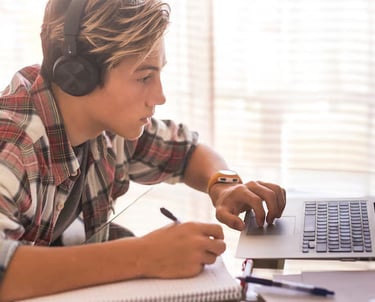 A level tutor online with student