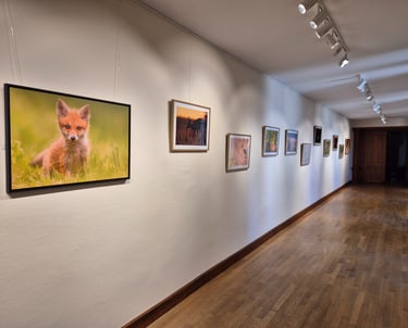 Exposition