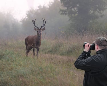 Participant en affût photographique en lisière — Stage photo