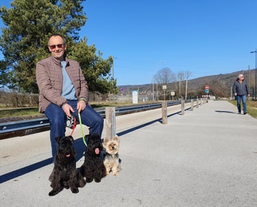 Eleveur Schnauzer miniature en promenade