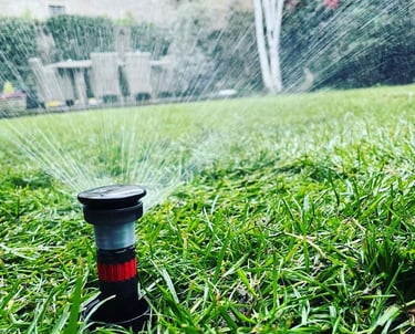 Pop up sprinkler recently installed
