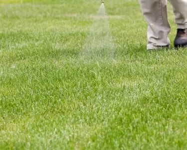 TLC Upstate Weed Control