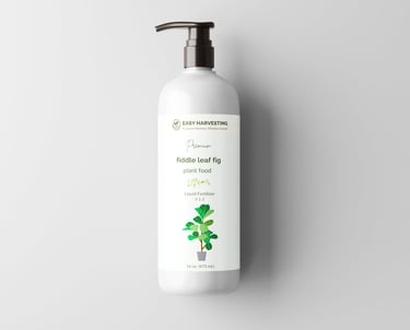 Easy Harvesting fiddle leaf fig liquid fertilizer bottle with pump, shown alongside service offering