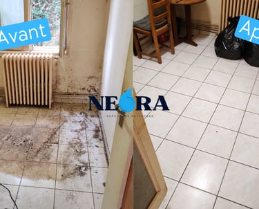 nettoyage logement insalubre la rochelle avant apres remise en etat sol