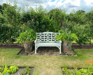 Calm setting of a freshly cur garden and a bench