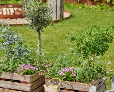 Beautiful norwich garden freshly landscaped