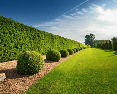 heckenschnitt-mai-2024-zeuthern-berlin-gartenservice-gartenbusiness-1